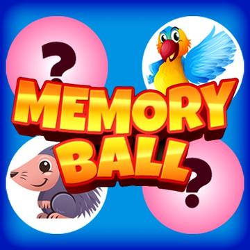 Memory Card online game cover on Gamefunday